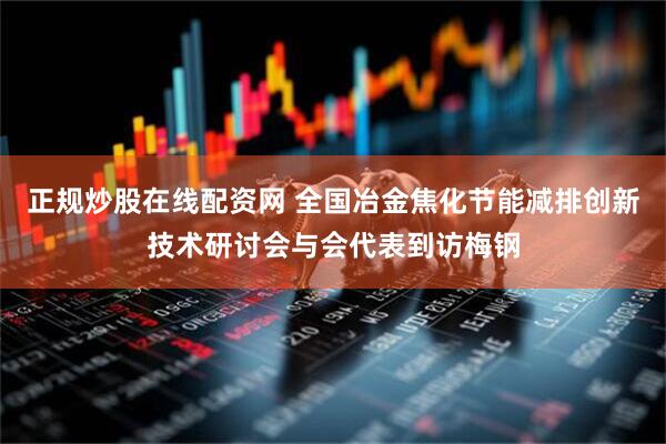 正规炒股在线配资网 全国冶金焦化节能减排创新技术研讨会与会代表到访梅钢